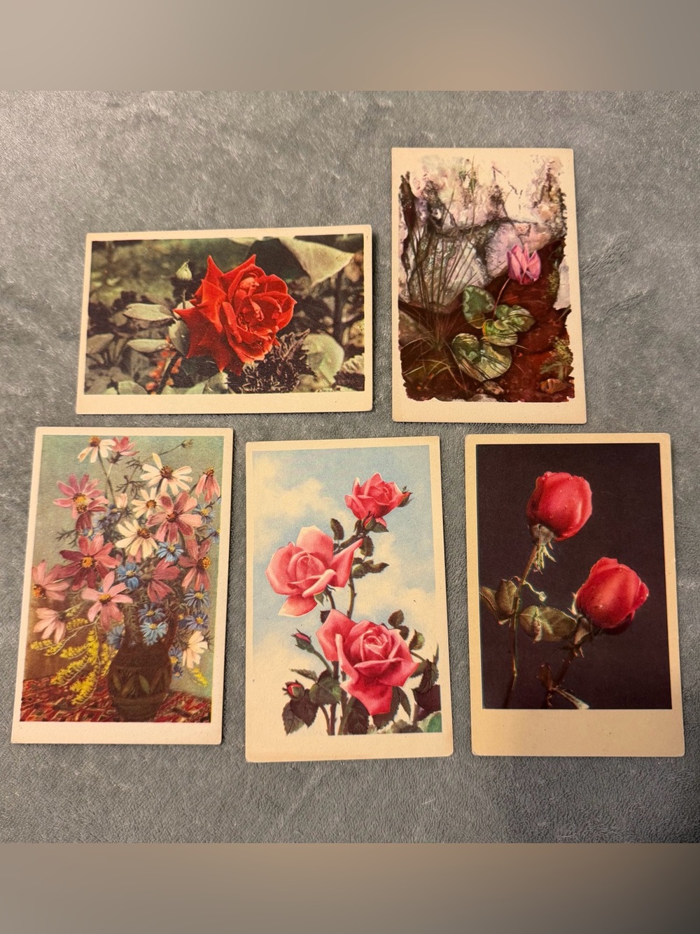 Vintage Antique Floral Flower Botany Postcards Unmarked From Budapest Hungary